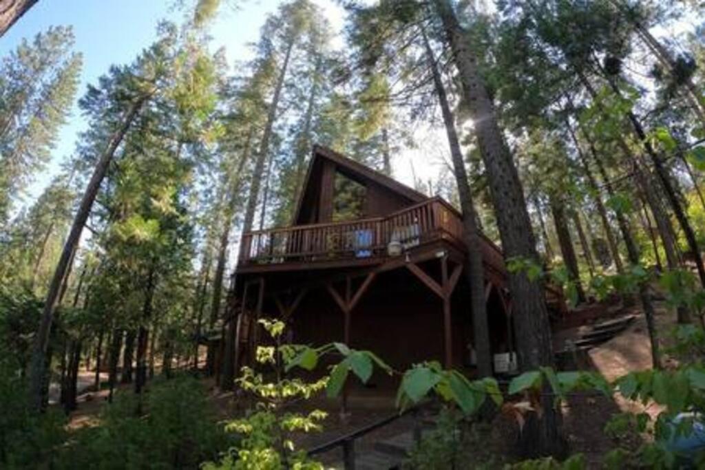 Pinecrest A-Frame Family Fun Near Dodge Ridge Villa Long Barn Eksteriør billede